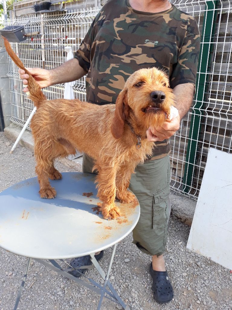 Publication : Des Clapas Du Mas Dieu 