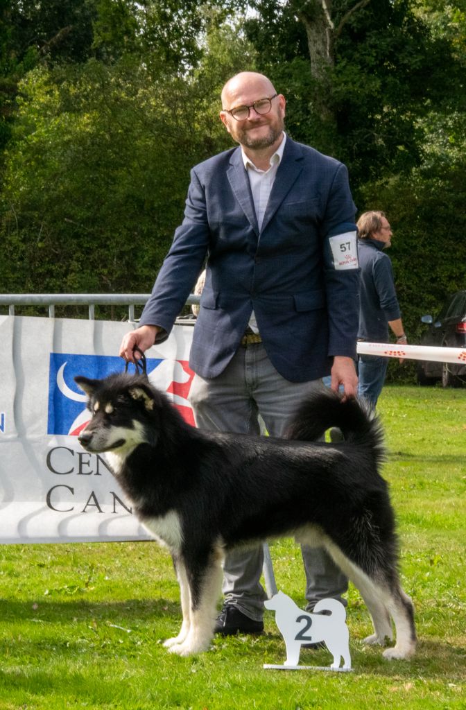 Publication : de laouen ki 