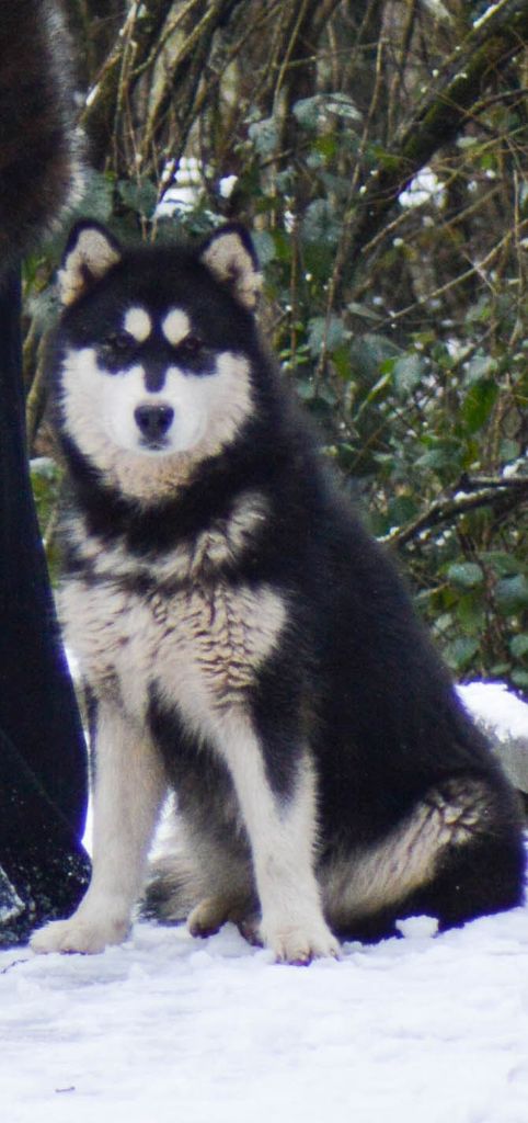 Publication : Du Domaine De La Maisonnette 