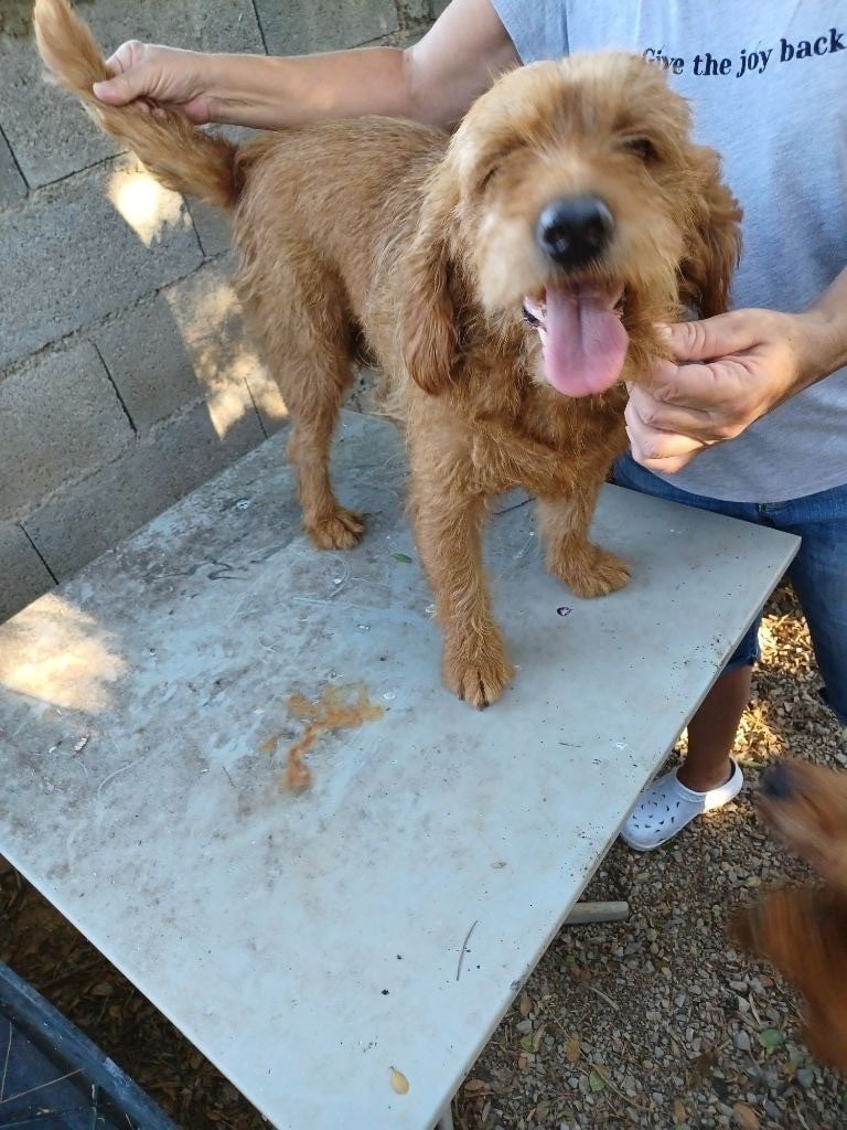 Lista Des Clapas Du Mas Dieu