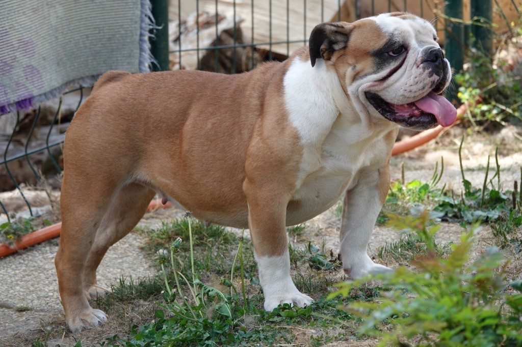 Publication : des gardiens de la Hem Auteur : GDLH