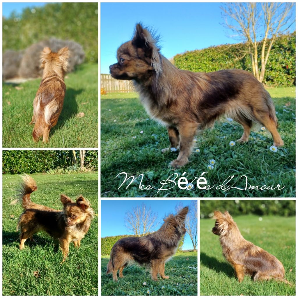 Publication : of fabi marc Auteur : Caems Ansje