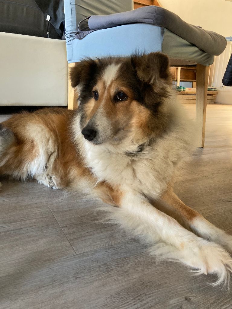 Publication : des Landettes de Hautteville 