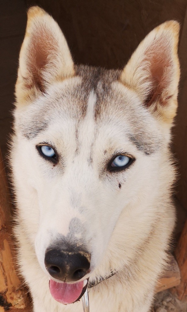 Publication : Premier De Cordée 