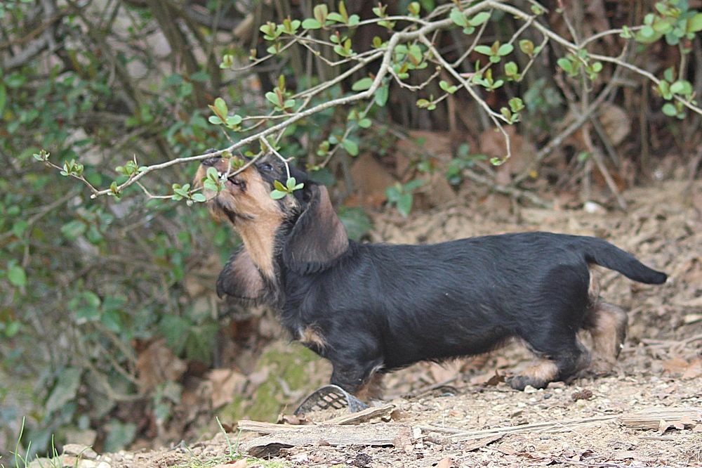 Publication : des plaines de Valinor 