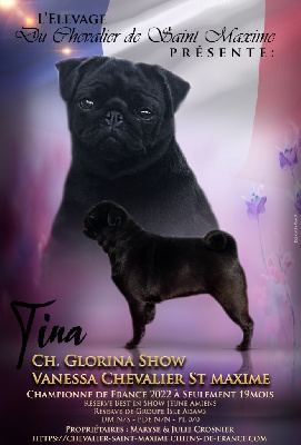 CH. glorina show Vanessa chevalier st maxime « tina »