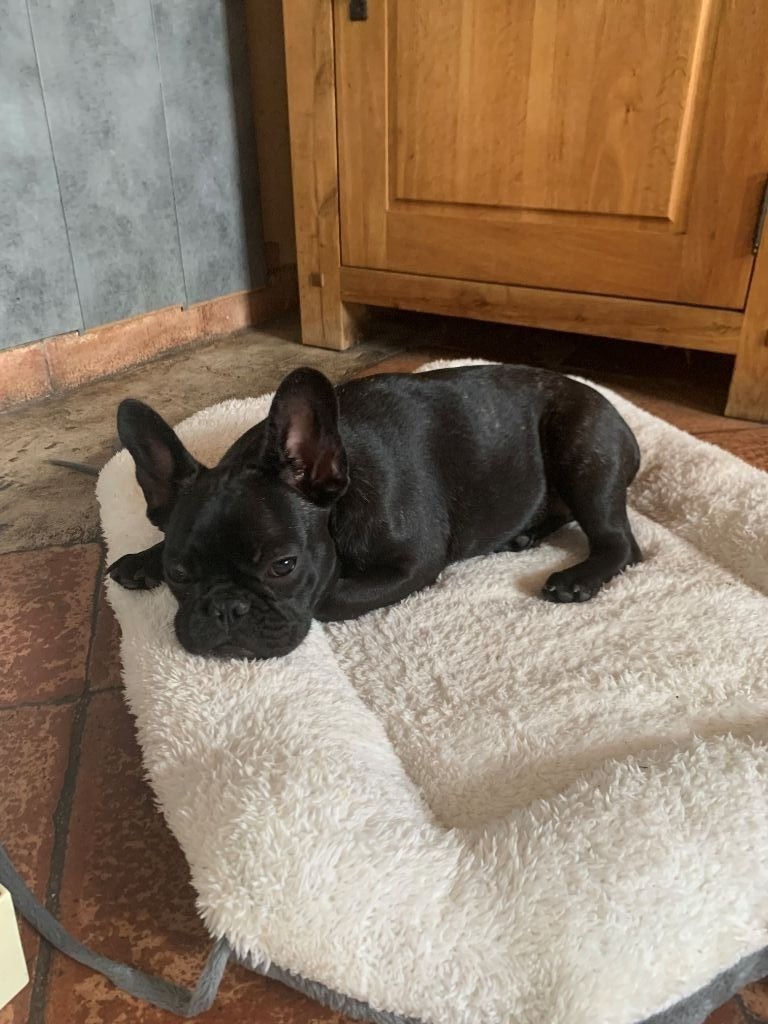 Publication : Du Domaine De Diablesse