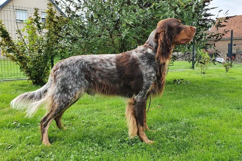 Publication : Des Coteaux D'Orsavel 