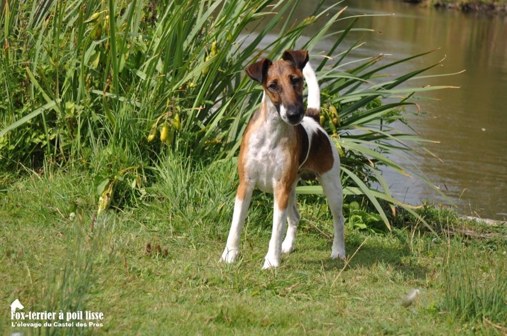Publication : De La Tuilerie Du Perray Auteur : Delaunay Christiane 