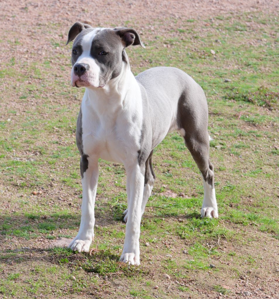 Publication : De la crique du Flojule Auteur : justine GRANGE