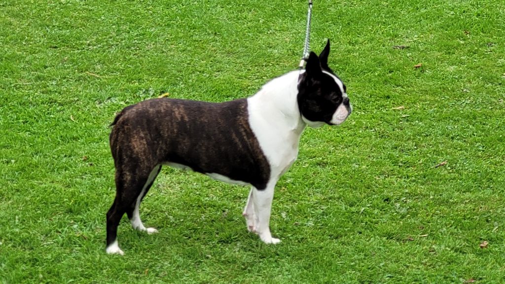 Shelby of Cuddle and Beauty