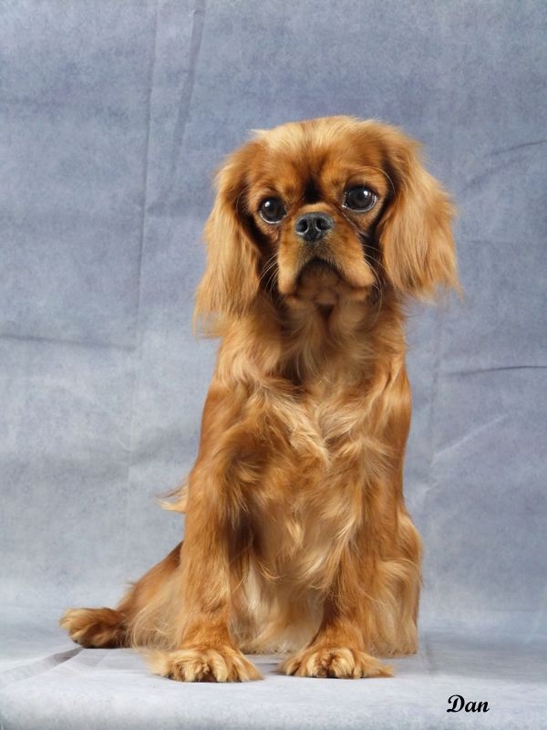 Publication : De la geode