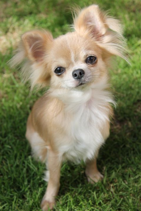 Publication : Des Joyaux De La Sambre