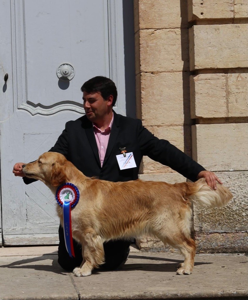 Publication : Du Ruisseau De La Groseille 