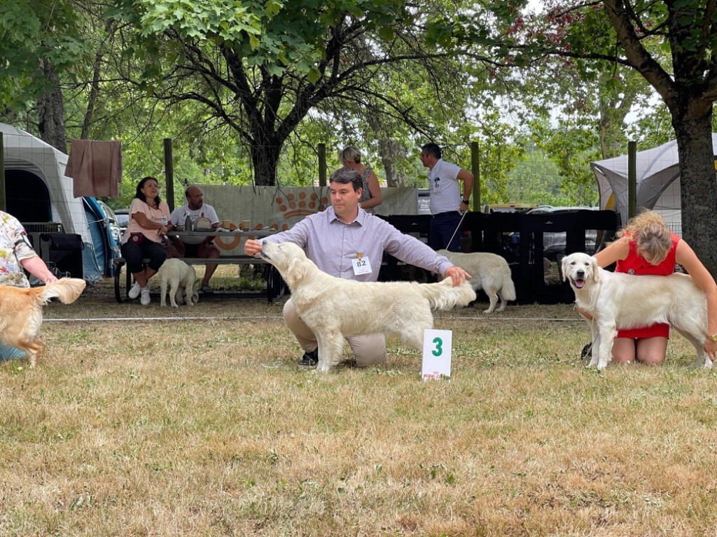 Publication : Du Ruisseau De La Groseille 