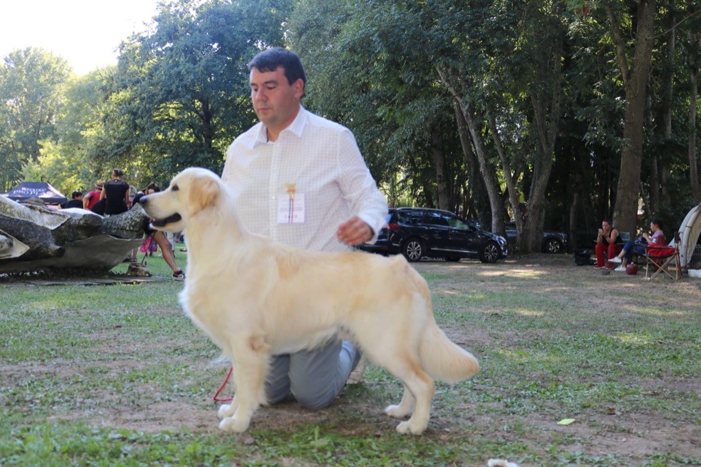 Publication : de la foret des princes 