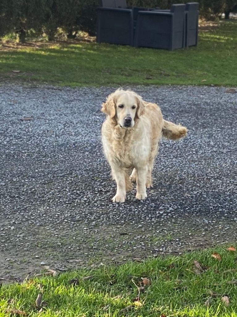 Publication : Du domaine d'alexan 