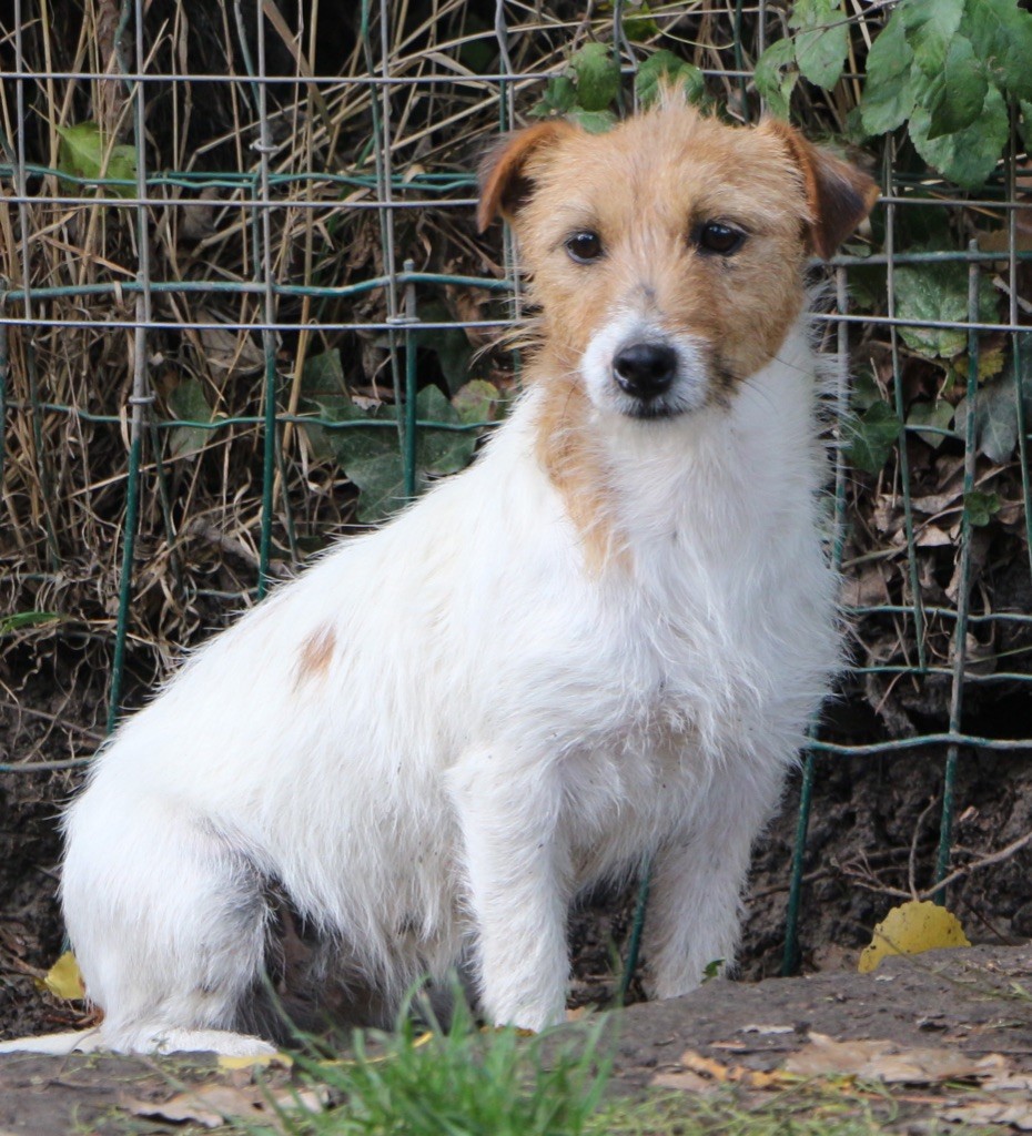 Publication : du Moulin de la Terrasse Auteur : Domaine de LOUMATPAU