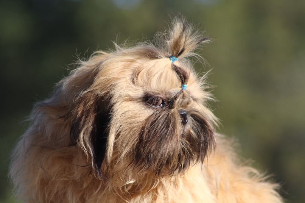 Publication : de l'air salin Auteur : C Fréville