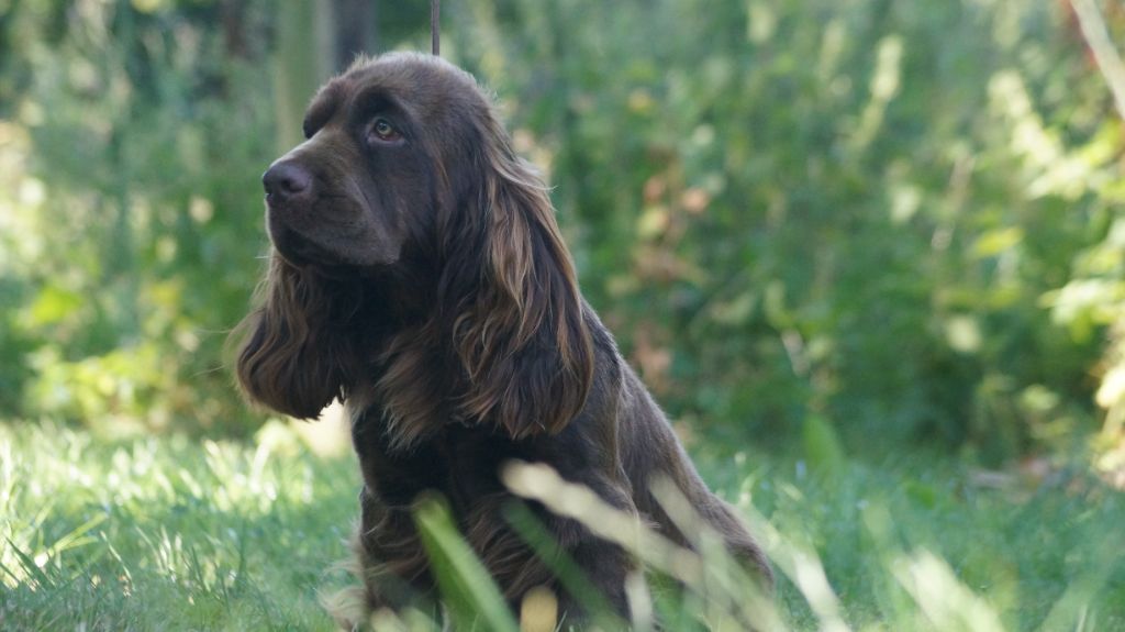 Publication : Des Terres De Beaulieu