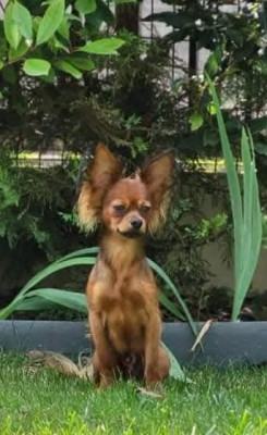 Poupee Russe Spoutnik