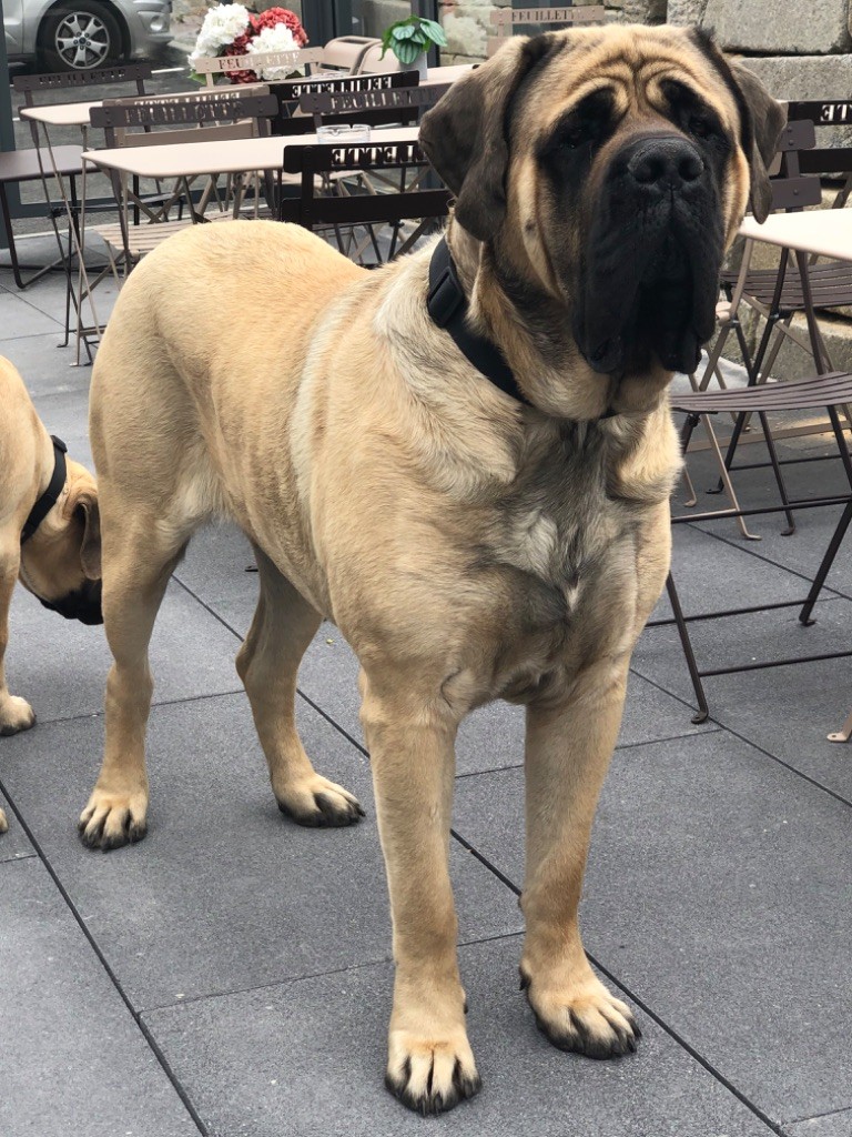 Publication : (Sans Affixe)