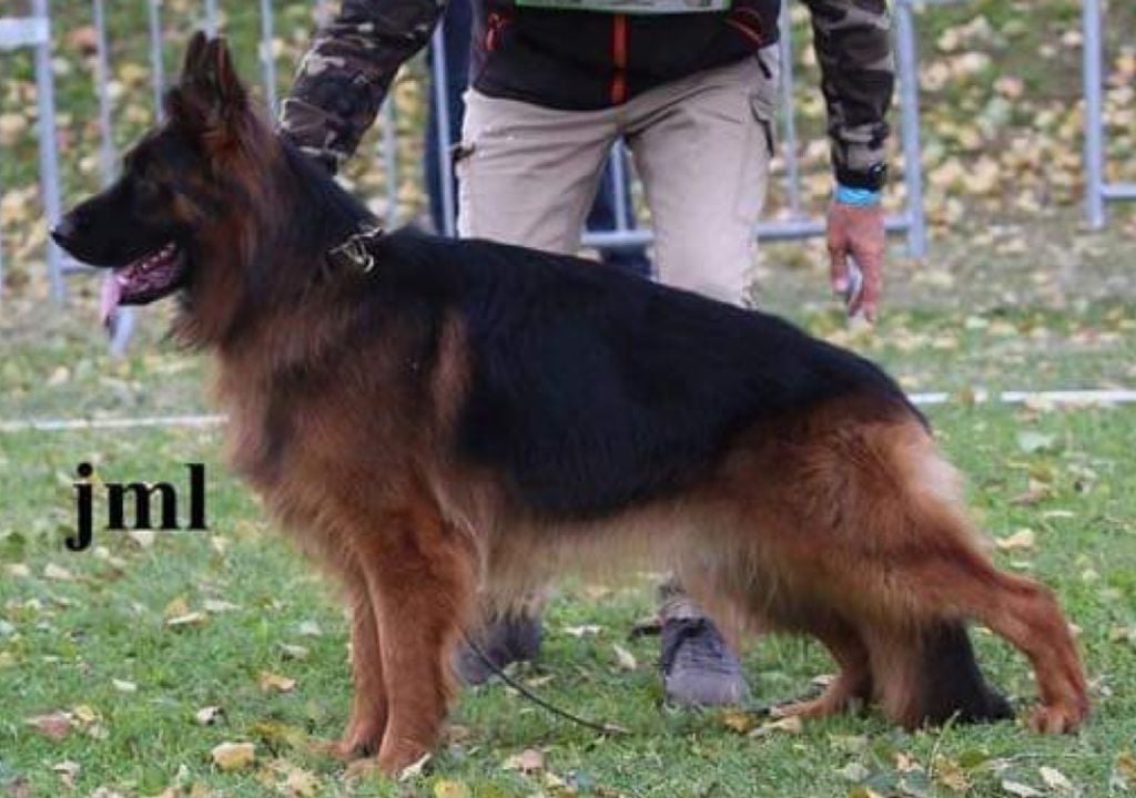 Publication : des Légendes du Castel