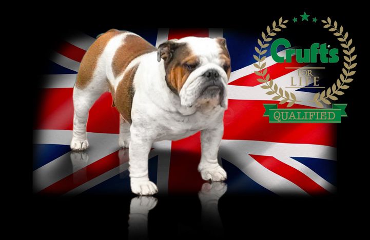 ricatori Work it baby