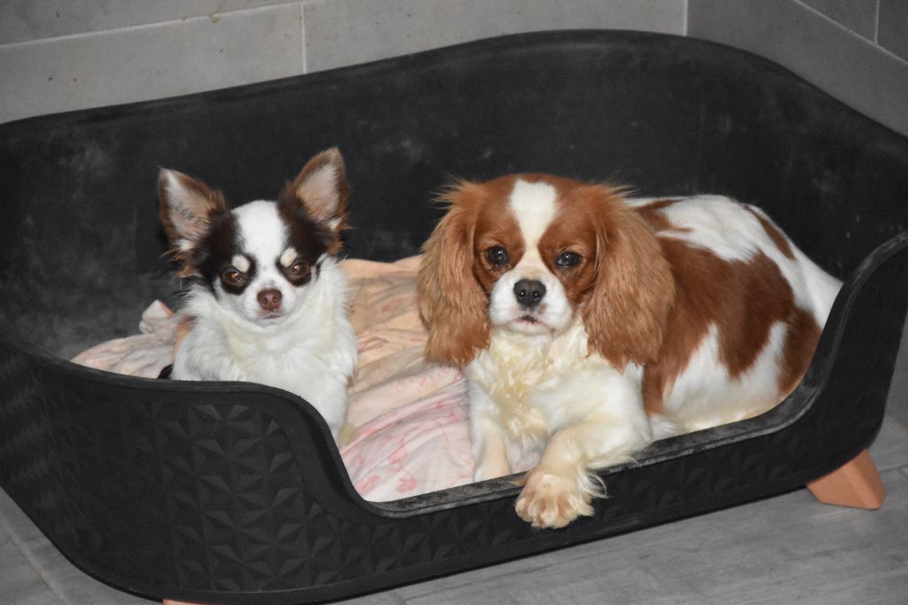 Publication : de la plaine du Jaelma 