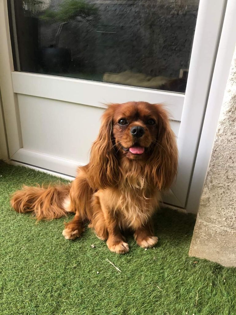 Publication : Blue Moon Secrets 