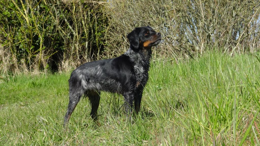 Publication : Du hameau de sorny