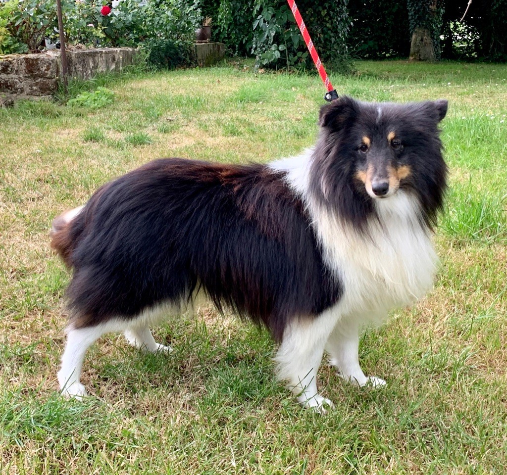 M&m's de la valle du mainland