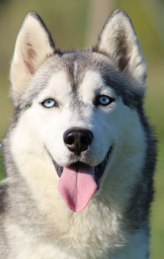 Publication : De La Tendre Puissance 