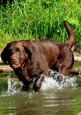 image de Thank you de