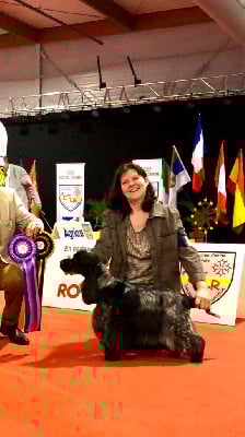 CH. Nothing compares des Hauts de Clemalive