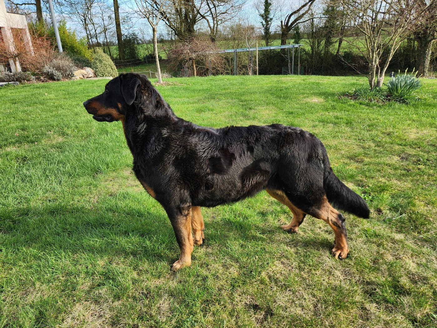 Publication : de La Cité des Comtes