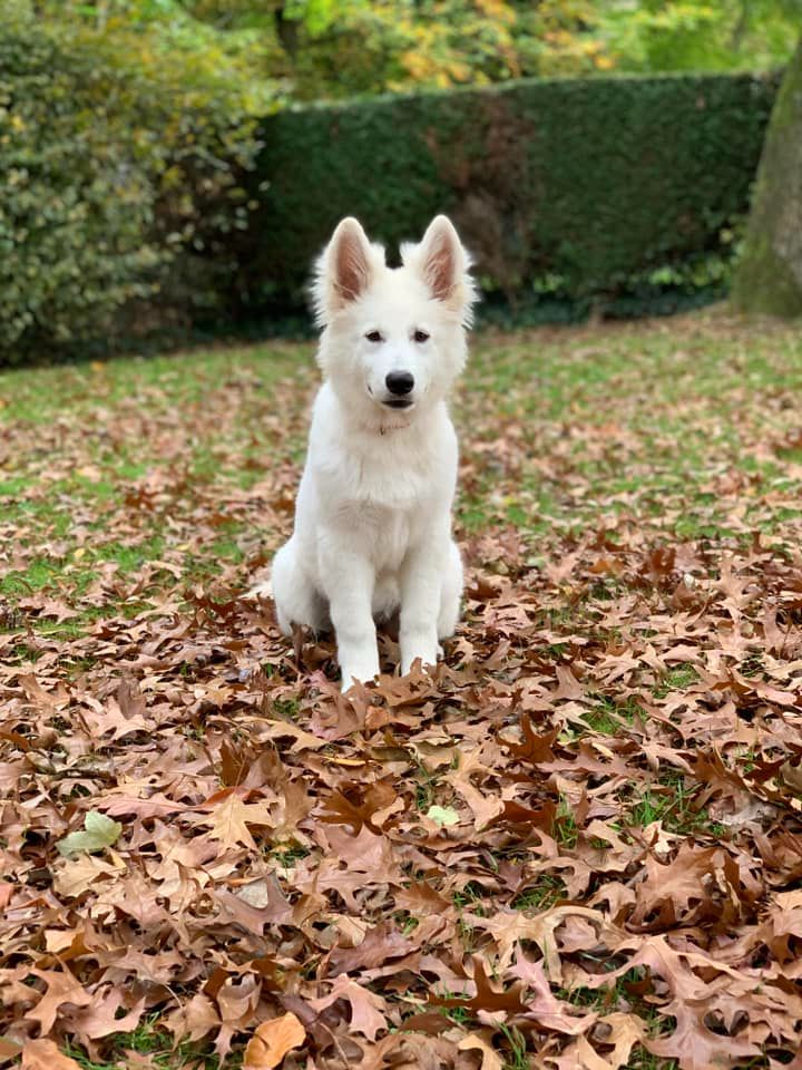 Publication : Du Moulin De Beuvry Auteur : Mme Thierry