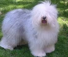 Publication : of Mary People Auteur : OMP