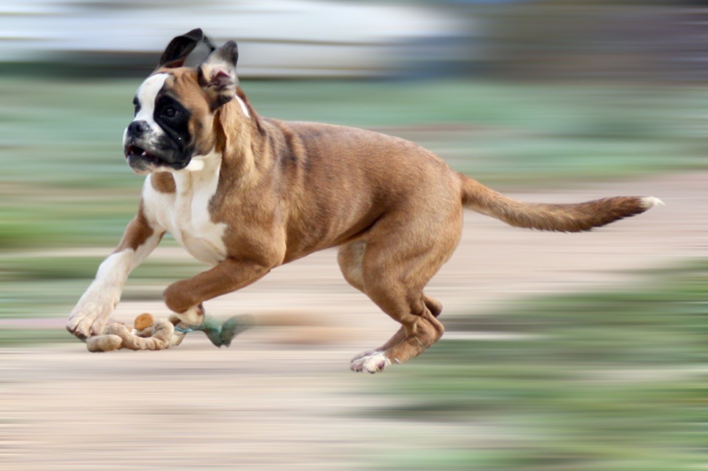 Publication : du rocher de saphir