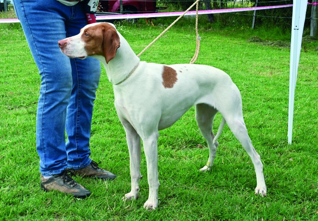 Publication : Des Chasseurs D'Effluves Auteur : CATHERINE FAUQUEMBERT