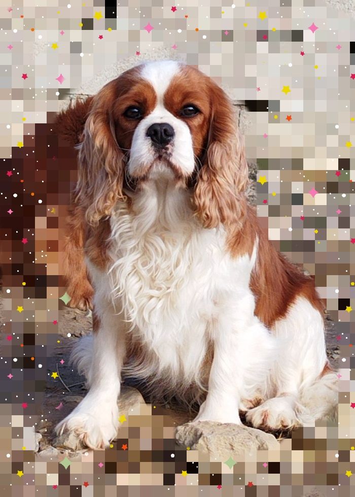 Publication : Du Castel Des Petits Coeurs