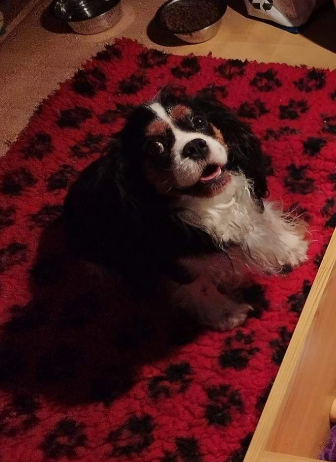 Publication : de Tahuva 