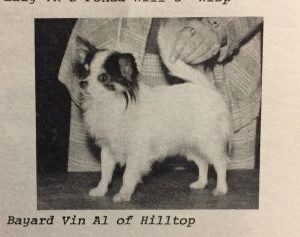 CH. Bayard vin al of hilltop