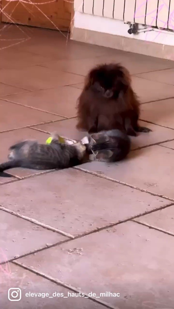 Publication : Des Hauts De Milhac