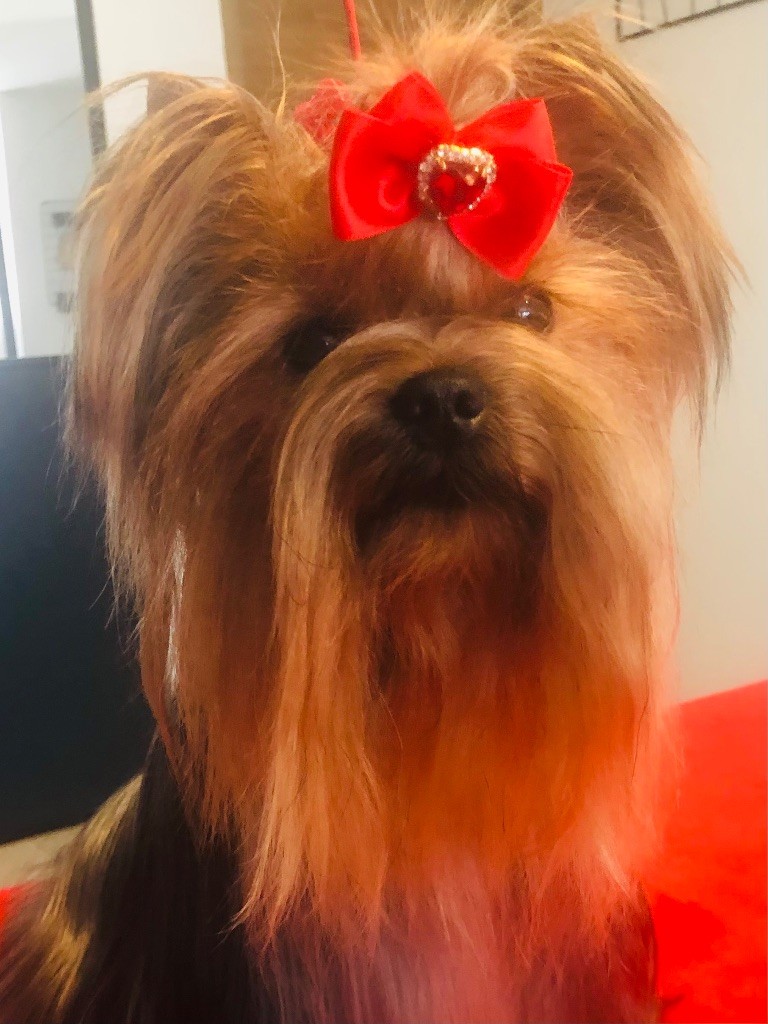 Publication : de l'Eden Royal