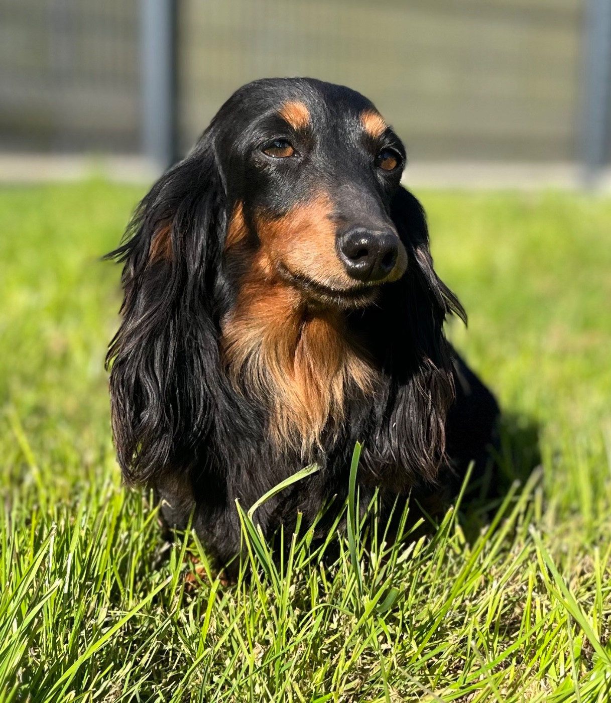 Publication : Des Vents D'Océan