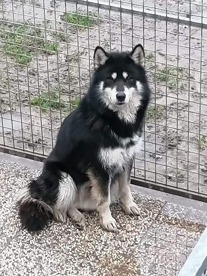 Publication : of Edelweiss Forever 