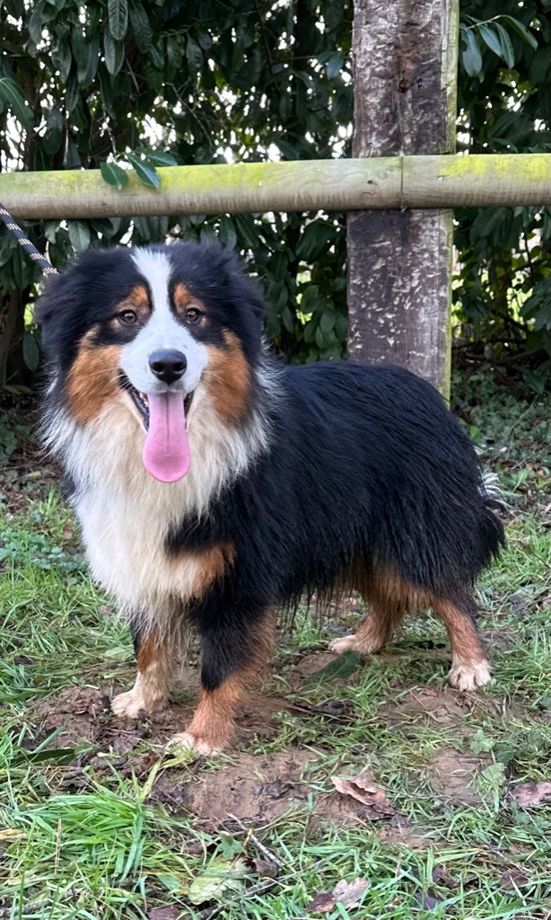 Publication : de la Vallée de Saint Samson 