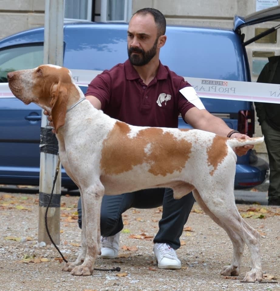 Publication : Du Clos Des Petites Vignes 