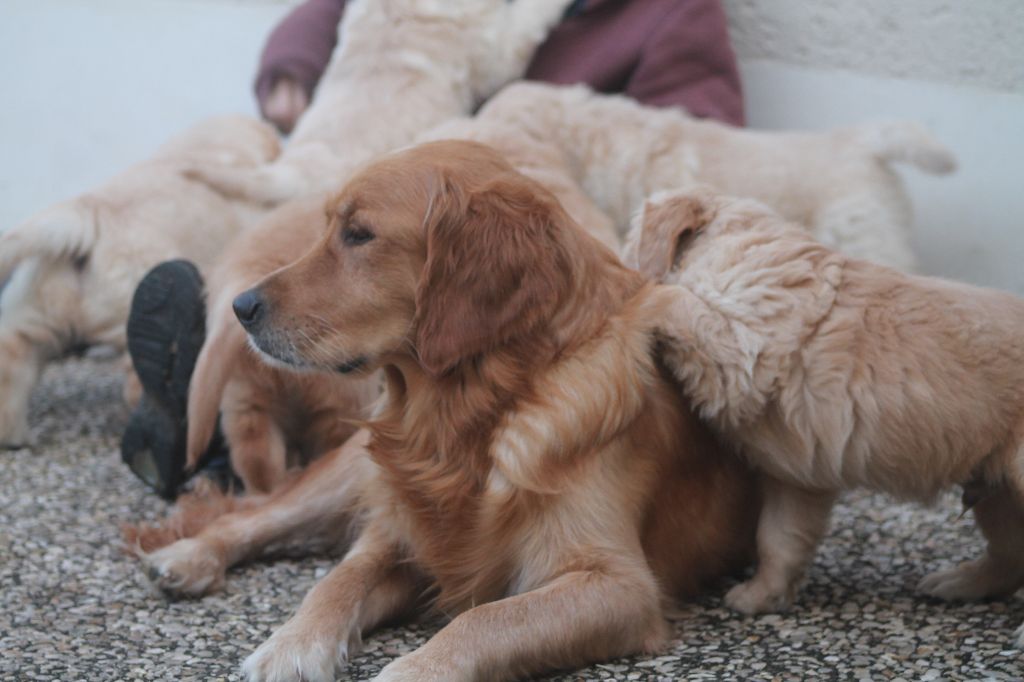 Publication : De L'Arche De Lolita 